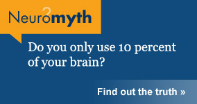 Neuromyth: Do you only use 10 percent of your brain?